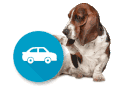 Seguros de Auto