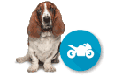Seguros de Moto