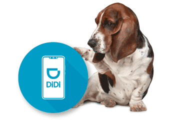 Seguros para Didi