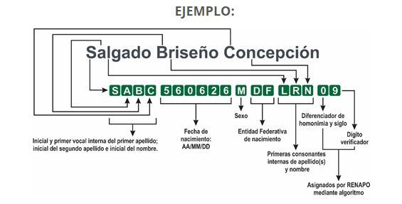 ¿Cómo se conforma la CURP?