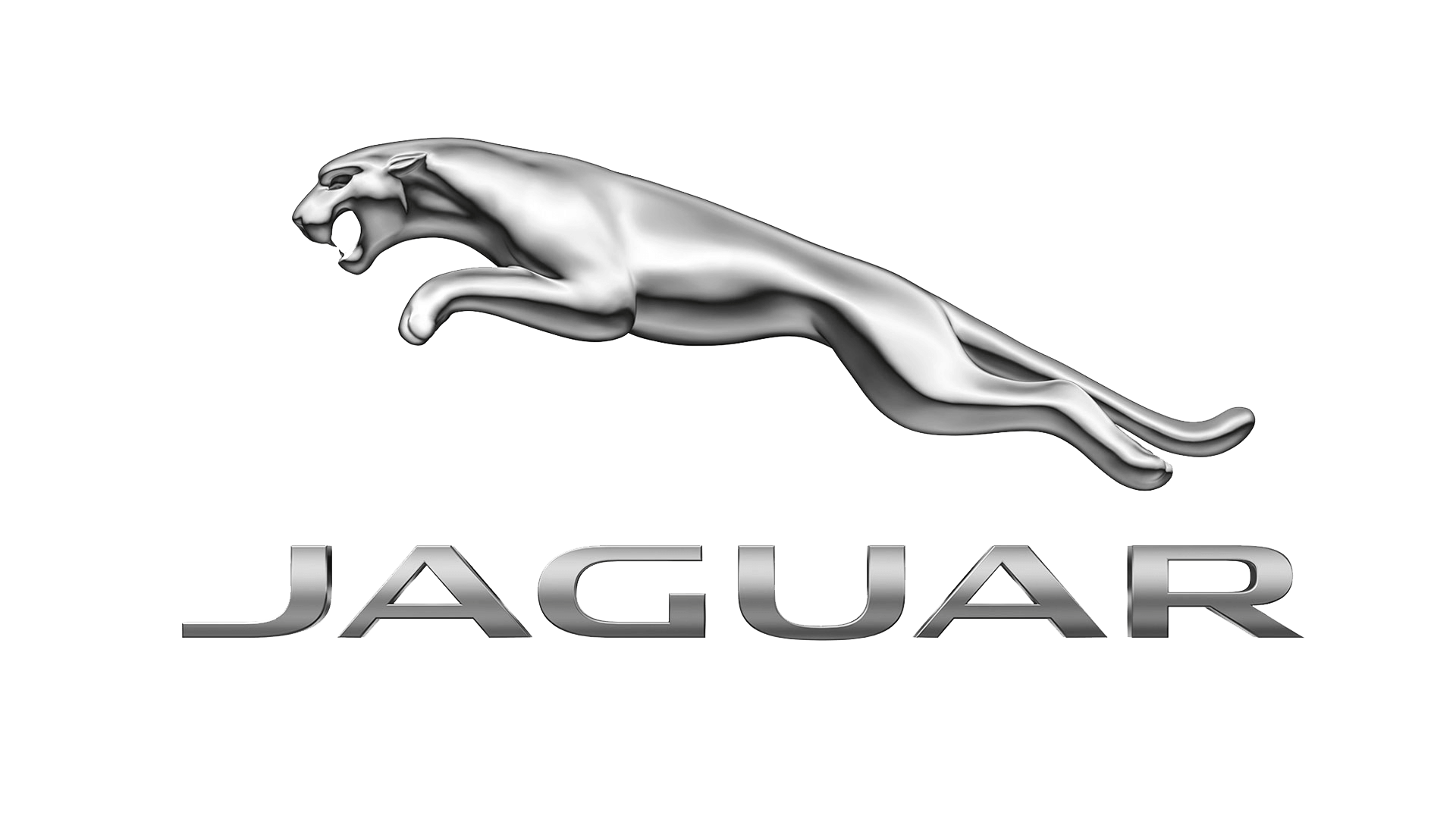 Jaguar Jaguar