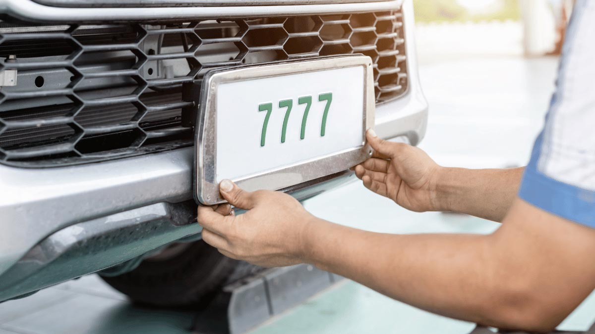 Alta y baja de placas hidalgo.jpg