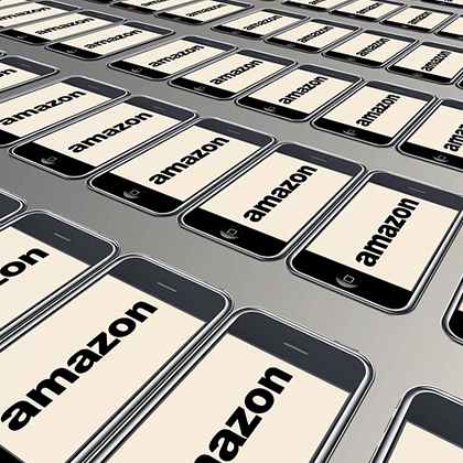 Amazon en los seguros Amazon en los seguros