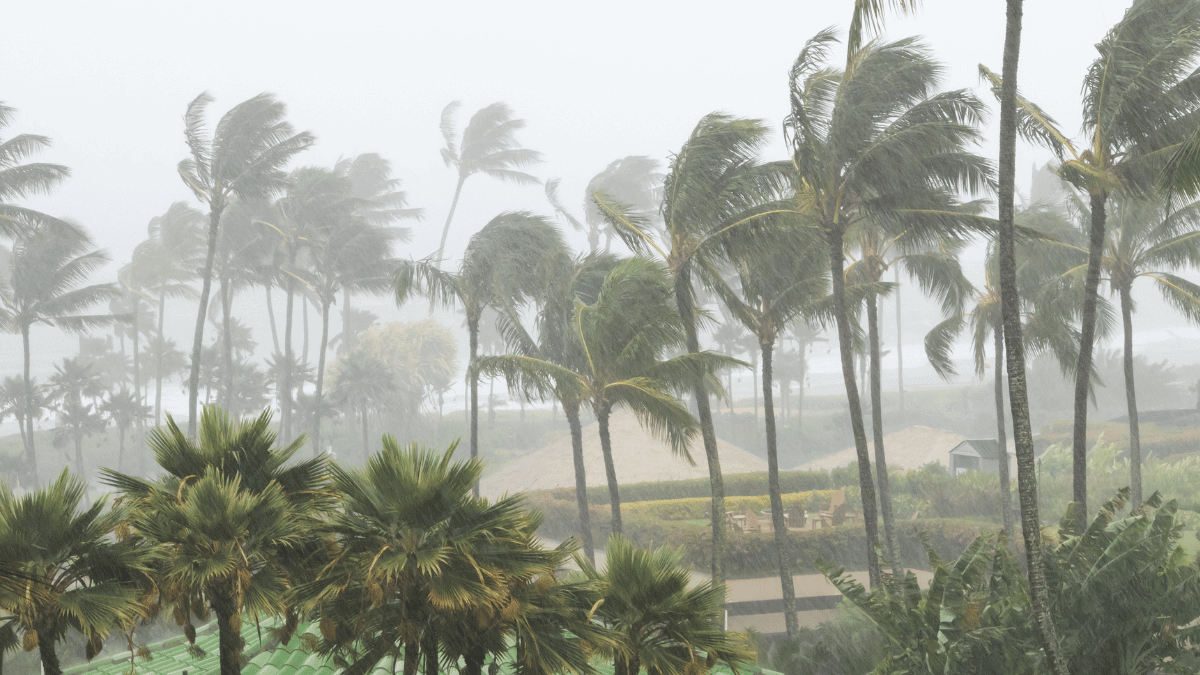 Aseguradoras asumiran el mayor impacto en la reconstruccion tras huracan otis