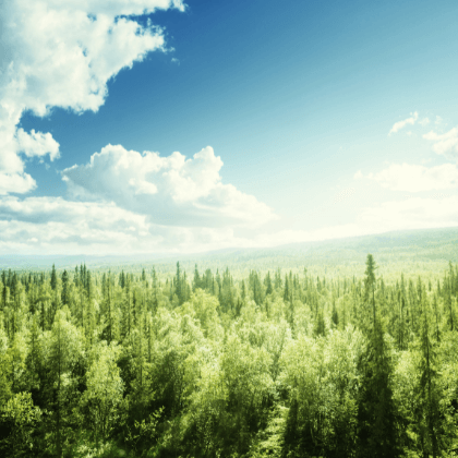 Axxa contra deforestacion