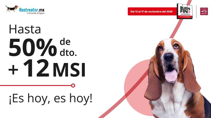 Buen Fin 2025 Seguros de Auto: Promociones y Ofertas perronas