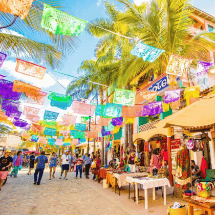 Como dar de alta y baja placas en nayarit