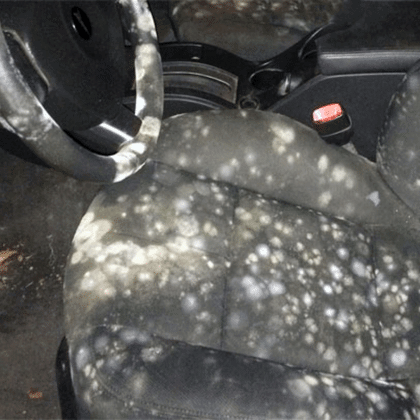 Como evitar que el auto de llene de moho Como evitar que el auto de llene de moho
