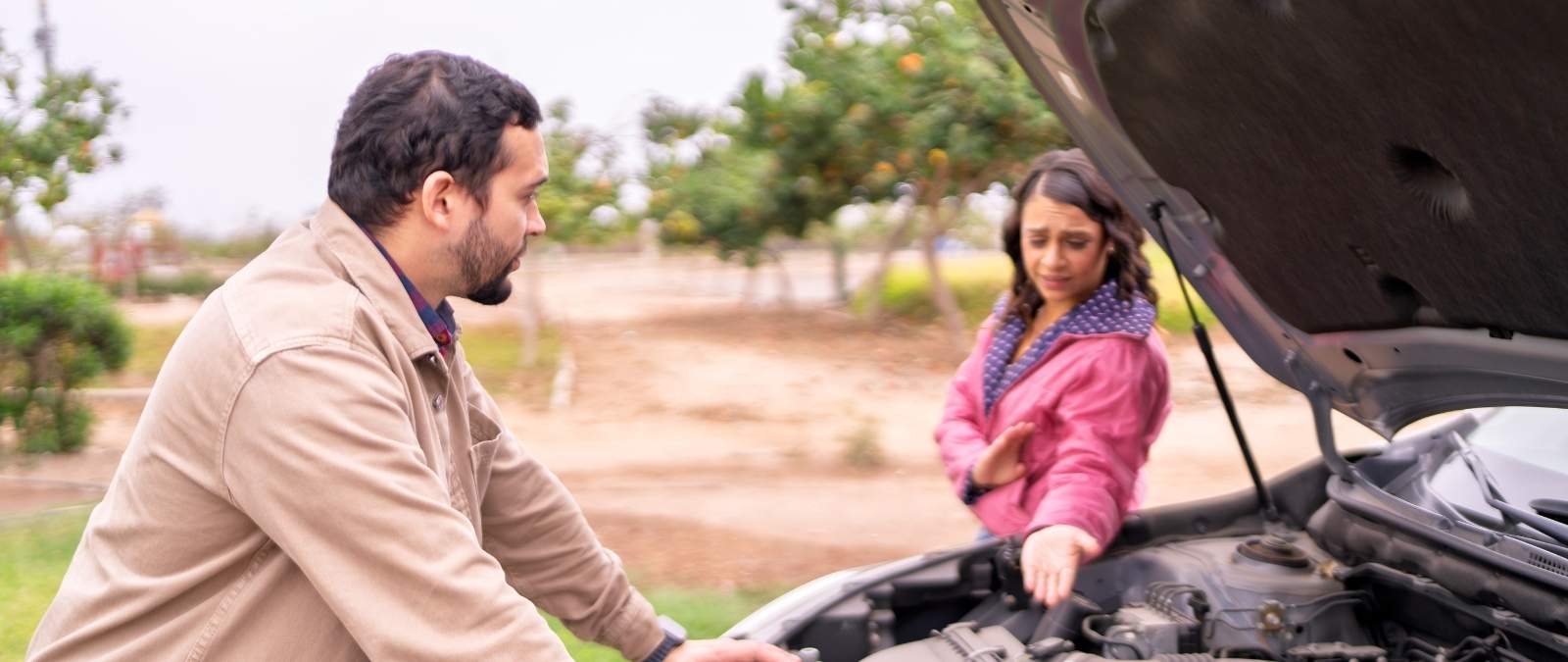 Como funciona el seguro de auto elite