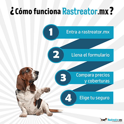 Como funciona rastreator