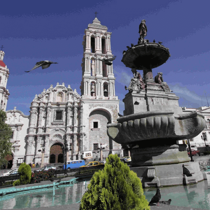 Como tramitar la tarjeta de circulacion en coahuila