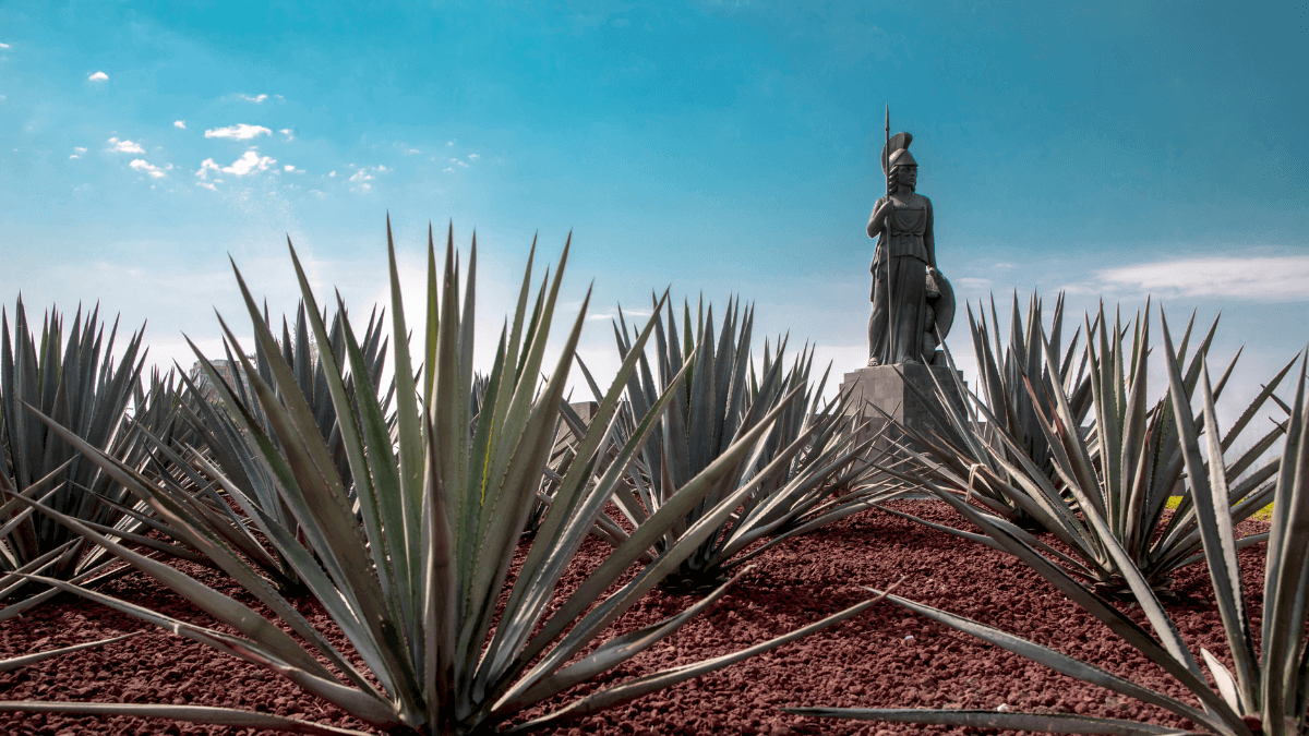 El aguila jalisco