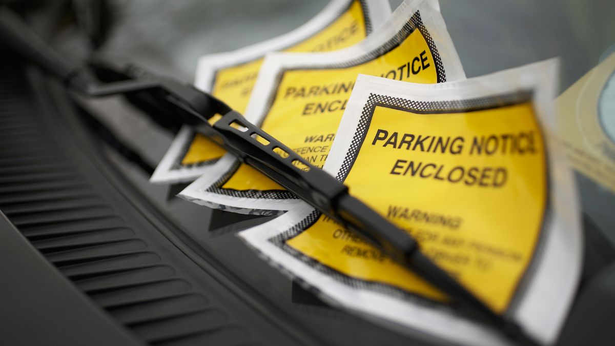 En jalisco no cuentan con seguro de auto 1 En jalisco no cuentan con seguro de auto 1