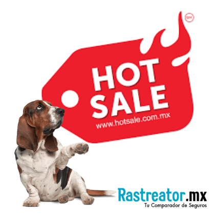 Hot sale 2019 rastreator