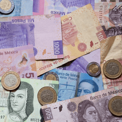 Monterrey tenencia refrendo