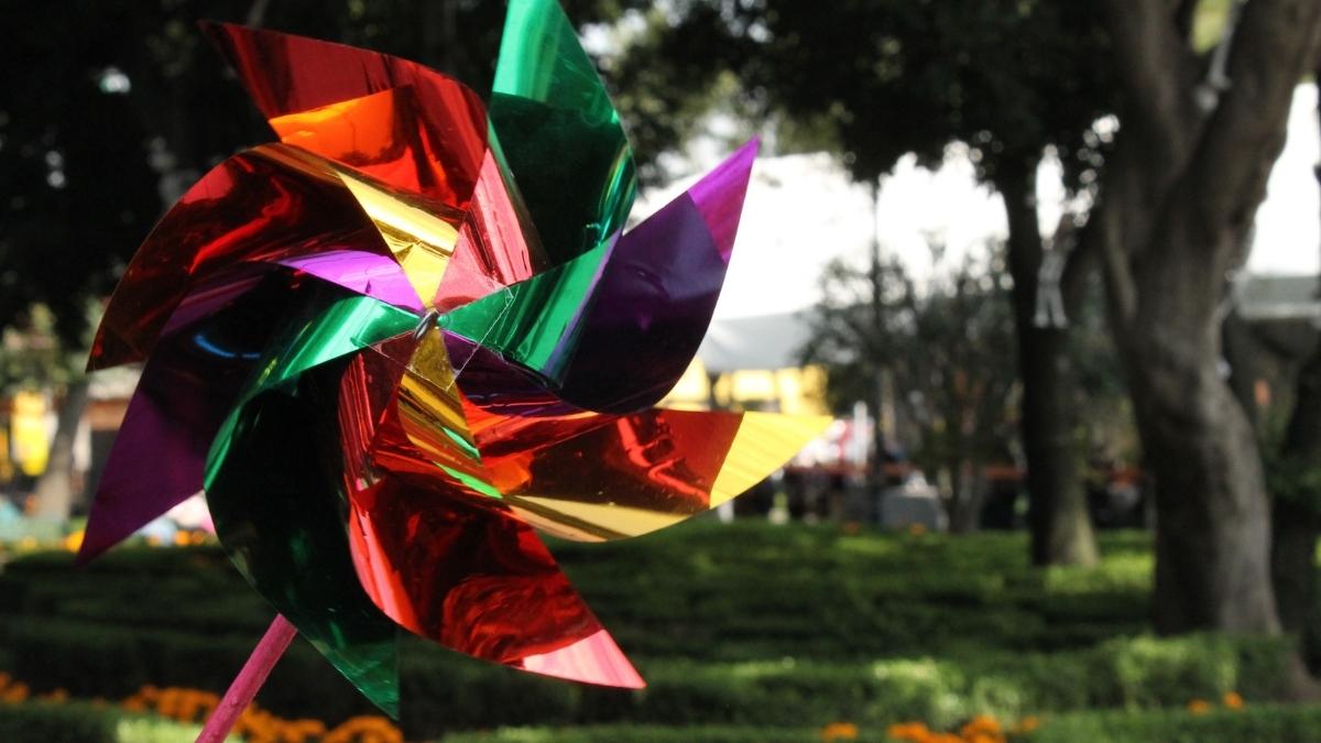 Nuevo_qualitas coyoacan 2