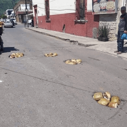 Programa nacional antibaches Programa nacional antibaches