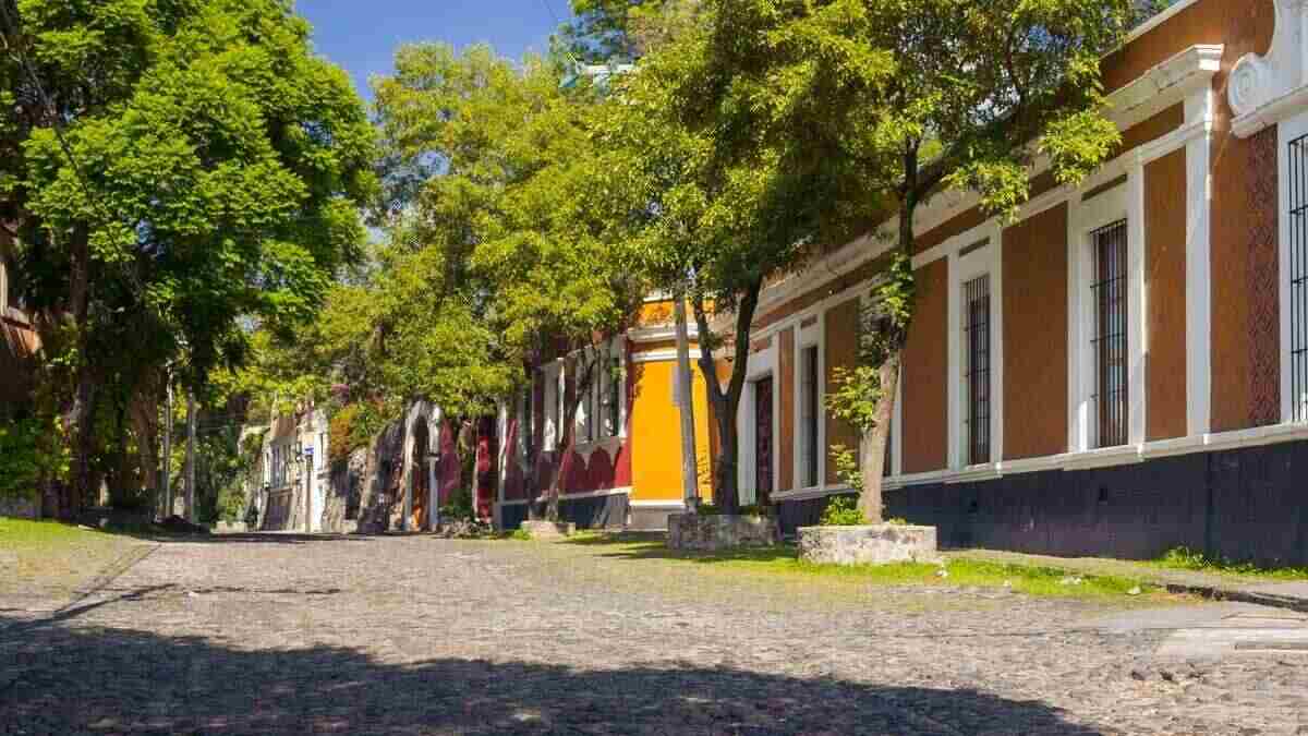 Qualitas san angel.jpg