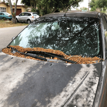 Que revisar antes de circular si deje mi auto sin usar un tiempo