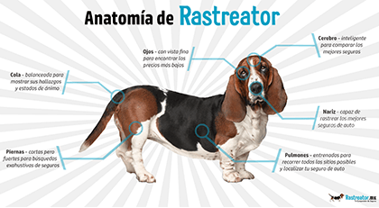 diapositiva Escoger Demon Play ▷ Rastreador de Seguros en México – Rastreator.mx®