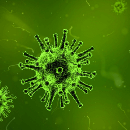 Seguero viaje coronavirus