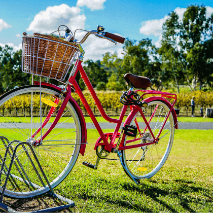 Seguro para bici