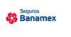 Seguros Banamex