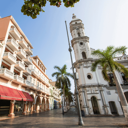 Tramitar la licencia de conducir en veracruz