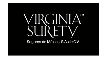 Virginia Surety Seguros de Auto